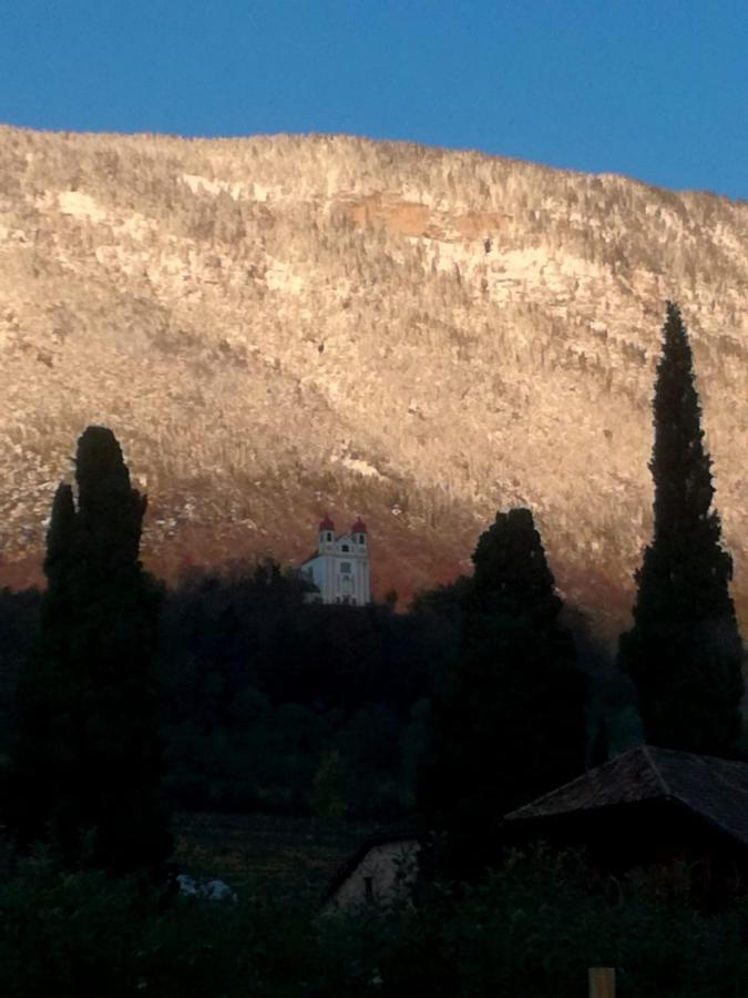 Ansitz Jenner Διαμέρισμα Appiano Sulla Strada Del Vino Εξωτερικό φωτογραφία